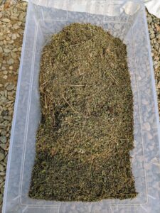 The catnip is transferred into an airtight container. Catnip should be stored this way to keep all moisture out, which will draw the potency out of the herb. Dried catnip will last for several months, at a minimum, before the smell in the oils begins to fade.