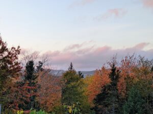 This view is from the flower cutting garden - Cheryl wanted to photograph the picturesque sky and the autumn trees in the distance.