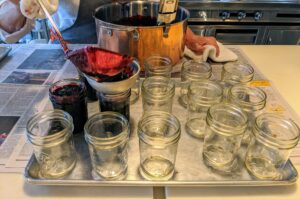 Once it's done, using a ladle, I pour the jam into the jars immediately. Ever since I could remember, I have always been very exact whenever I estimate how many jars I need for a particular project. I estimated this batch to fill 19-glass jars. At the end, we will see how many I actually fill. I pulled four extra just to be safe.