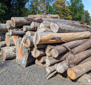 Other logs are earmarked for milling into long floor boards. Logs that are not reusable are saved for the tub grinder and made into fine wood chips for the garden beds.