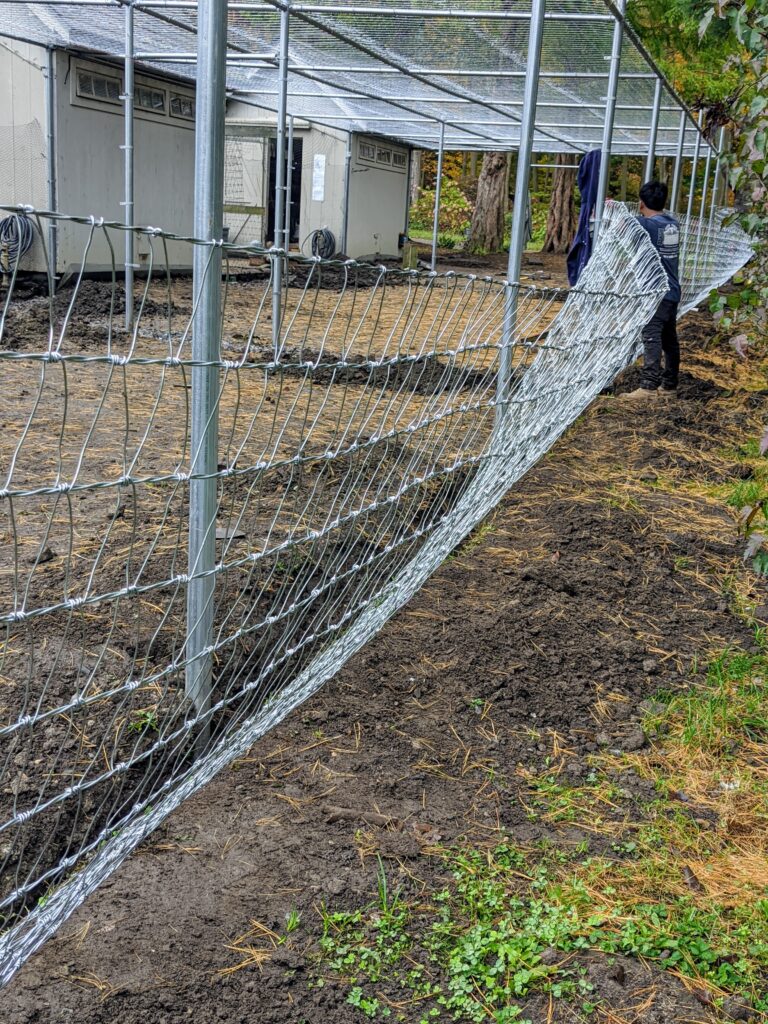 A New Fence for My Chickens The Martha Stewart Blog