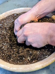 Ryan adds just enough soil, so it is filled up to a half inch below the top of the pot.