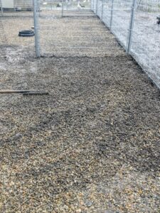 Using a hard rake, Phurba spreads the gravel on both sides of the chicken coops. The gravel is a natural colored stone. The entire coop section will be covered in just about an inch of gravel.