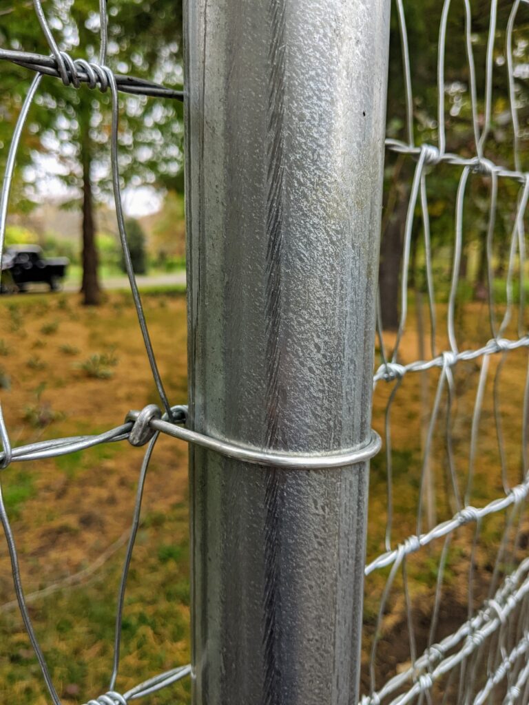 A New Fence for My Chickens - The Martha Stewart Blog