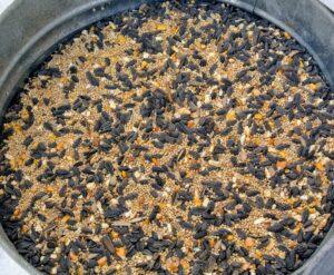This is a seed mix. This includes white millet, black oil sunflower seeds, striped sunflower seeds and cracked corn. The birds love this seed as well.