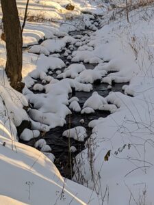 Here’s a gurgling stream barely peeking through the blanket of white. The woodland streams are full – they look so dark against the snow.