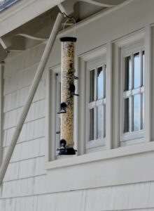 When filling the feeders, we use a pole with a hook on one end. Each feeder is carefully removed from its hanging location and refilled on the ground.