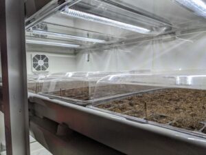 Each tray is covered with an Urban Cultivator humidity dome. The humidity dome remains positioned over the seed tray until germination begins. Each tray receives about 18-hours of light a day.
