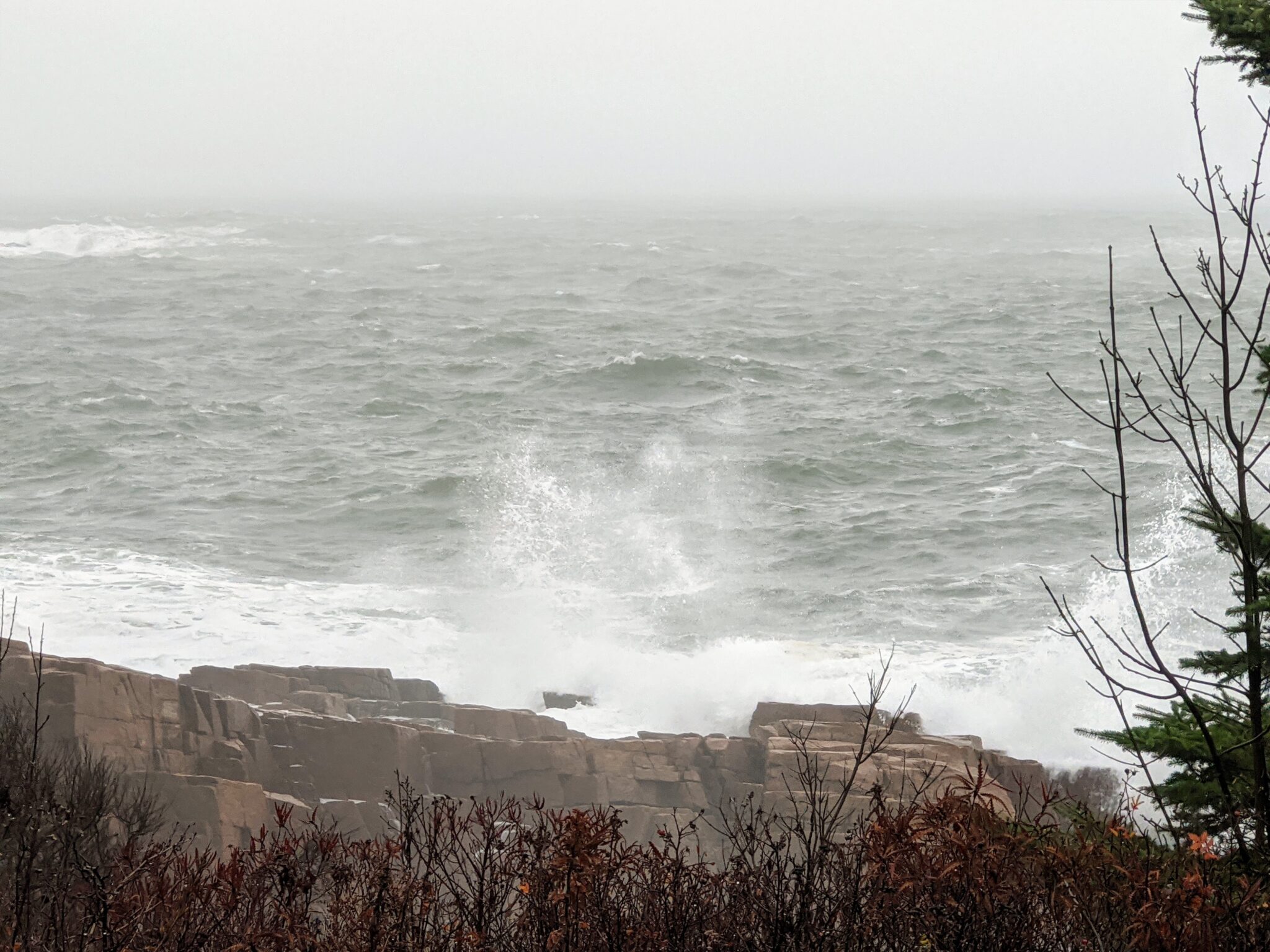 Early December in Maine - The Martha Stewart Blog