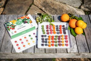 To keep the stress levels low this busy season, I'm offering my Martha Stewart CBD 15 Flavor Sampler Wellness Gummies box from Canopy. These gummies are packaged in an elegant and reusable linen-textured drawer box. All the CBD cube gummies are inspired by fruits and flavors I love and use.