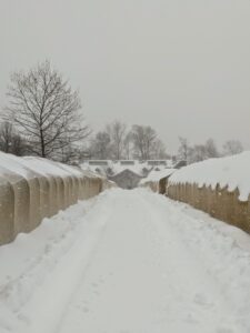 The Boxwood Allee looks so different in winter. I am so glad the boxwood is covered under burlap shrouds to keep everything protected from the snow.