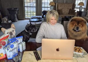 Creme, Bete, and my male Chow Chow Emperor Han, sat with me in my Brown Room. They are very calm and so accustomed to joining me in media appearances.