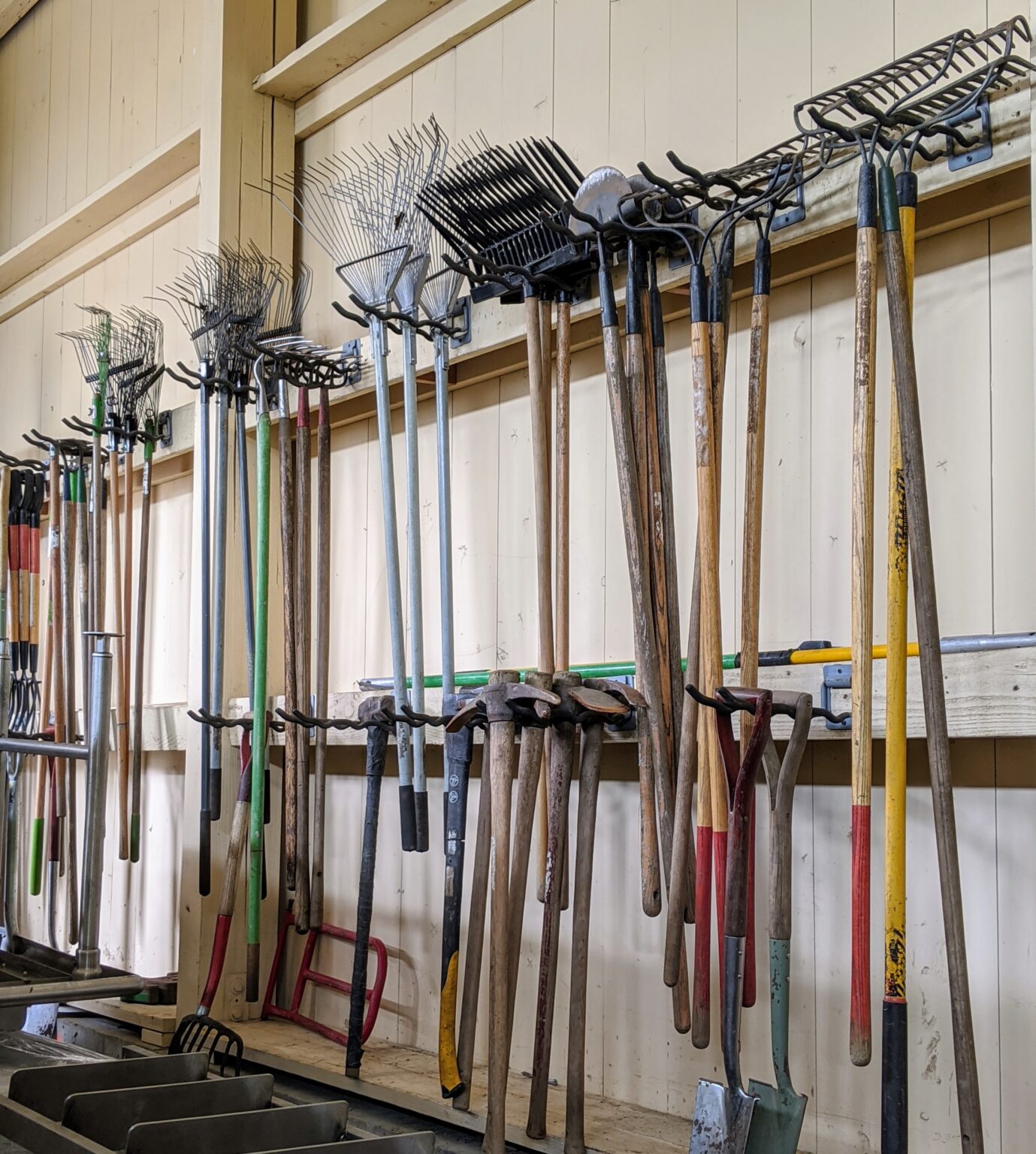 Organizing the Equipment Barn in the New Year - The Martha Stewart Blog