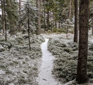 There are many footpaths that meander through Skylands. This one leads from the driveway to the tennis court. Now covered in a light layer of snow, these footpaths are lined with pine needles in summer.