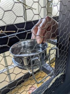 Several bowls of fresh water are provided at all times - again, some bowls on the floor and some higher in the cage.