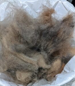 And look at all the dead undercoat removed from both dogs - that's a lot!