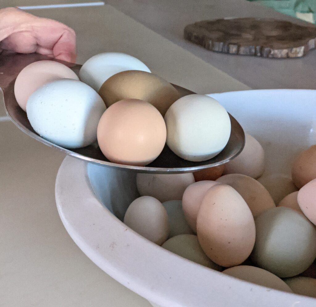 Blog Memories: Making the Perfect Steamed Egg - The Martha Stewart Blog