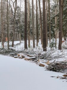 During winter, my outdoor grounds crew spends a lot of time "cleaning the woods" - removing fallen branches and other debris. Everything is placed neatly at the side of the carriage road, so it can be accessed easily when it is time to chip.