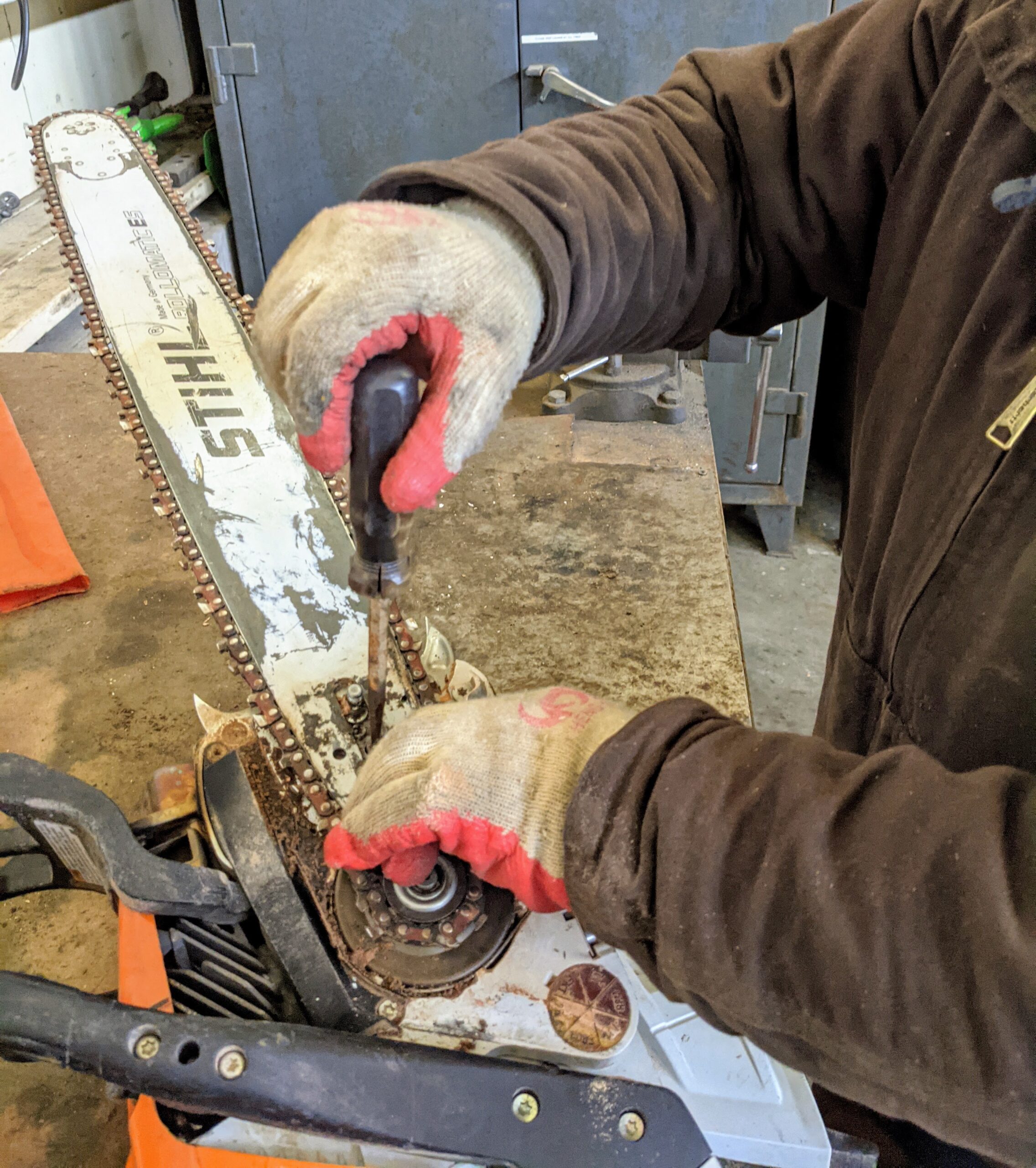 Maintaining Our STIHL Chainsaws - The Martha Stewart Blog