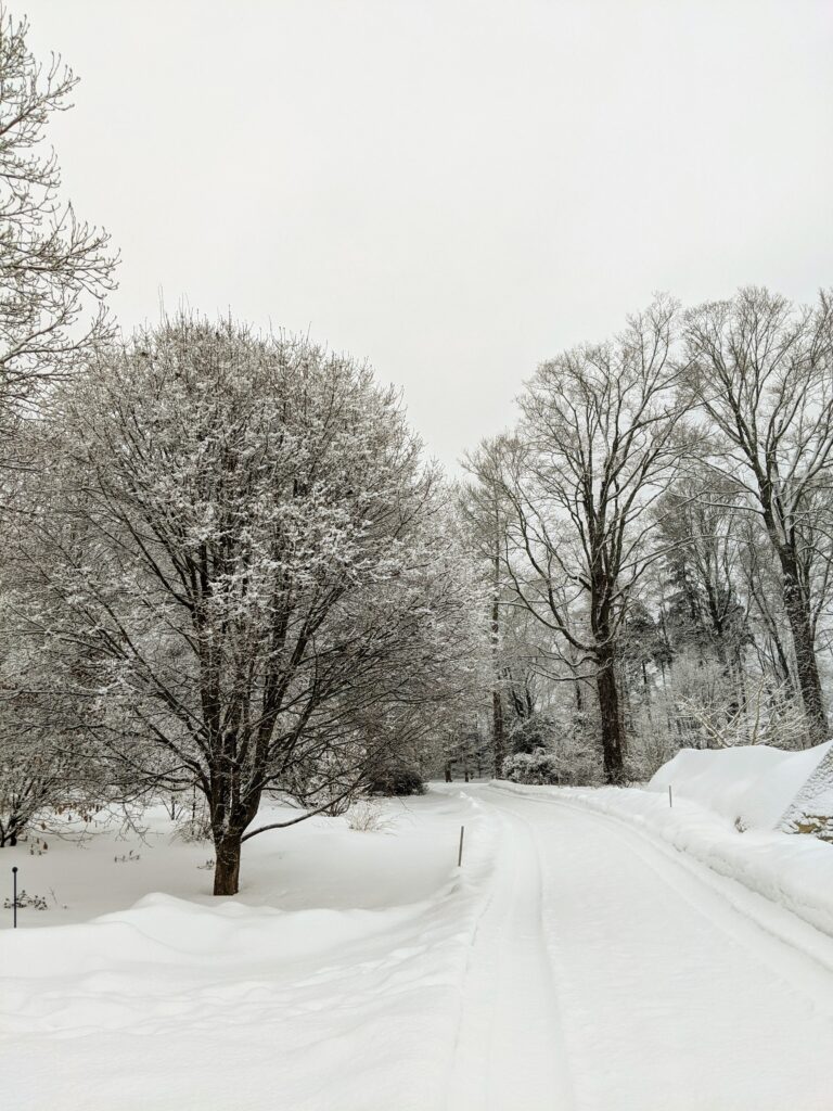 The Last Snow Showers of February - The Martha Stewart Blog