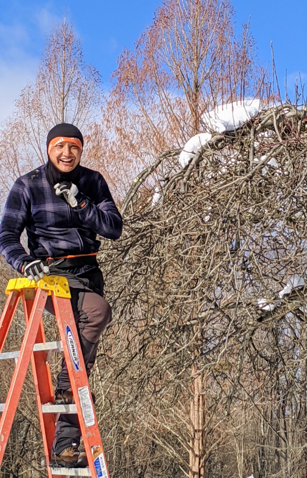 Pruning Apple Trees at My Farm - The Martha Stewart Blog