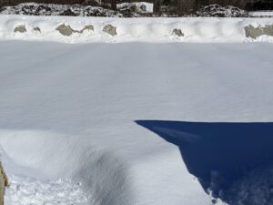 This is a my herbaceous peony bed at rest – I cannot wait to see it overflowing with white and pink peony blooms this summer. With all the snow cover, it's hard to see the outline of the beds. We're expecting another three inches of snow today.