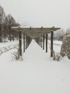 This photo is from one end of my pergola which goes through many transformations through the course of the year. Now, the beds and the meandering footpath are covered under several inches of snow. In summer, the vertical posts support beautiful clematis vines which bloom in white and various shades of purple and blue.