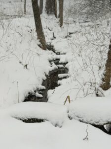 Here’s a gurgling stream peeking through the white snow. Gusty winds made it hard to hear the water flowing.