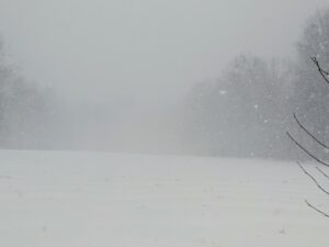 This is the back hayfield. By early afternoon, there were total white out conditions, defined by low visibility making almost everything indistinguishable.