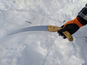 For thicker branches, he also uses a pruning hand saw. A pruning saw makes it easier to cut branches and not harm them. It is also very important to make sure all these cutting tools are very sharp.
