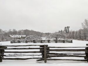 One never tires of this beautiful panoramic view of my paddocks. In the distance, behind the ancient apple trees, one can see the roofs of the stable on the left, and a glimpse of the burlap-covered Boxwood Allee in the center.