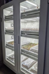 The Urban Cultivator’s pre-programmed control center adds just the right amount of water, light, humidity, and air.
