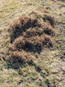 Look at some of the thatch removed. De-thatching removes the decaying plant material so air, water, and nutrients can reach the soil more efficiently. It also helps the areas drain more effectively.