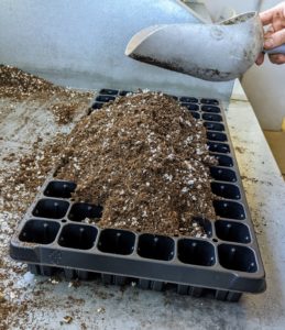 Here, Ryan uses a tray with 72 separate cells. It’s best to use a pre-made seed starting mix that contains the proper amounts of vermiculite, perlite and peat moss. Seed starting mixes are also available at garden supply stores.