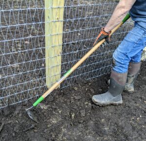 Once the fence is secured, Fernando uses a hoe to level the soil on both sides of the fence, covering the bottom of the wire to keep any burrowing creatures away.