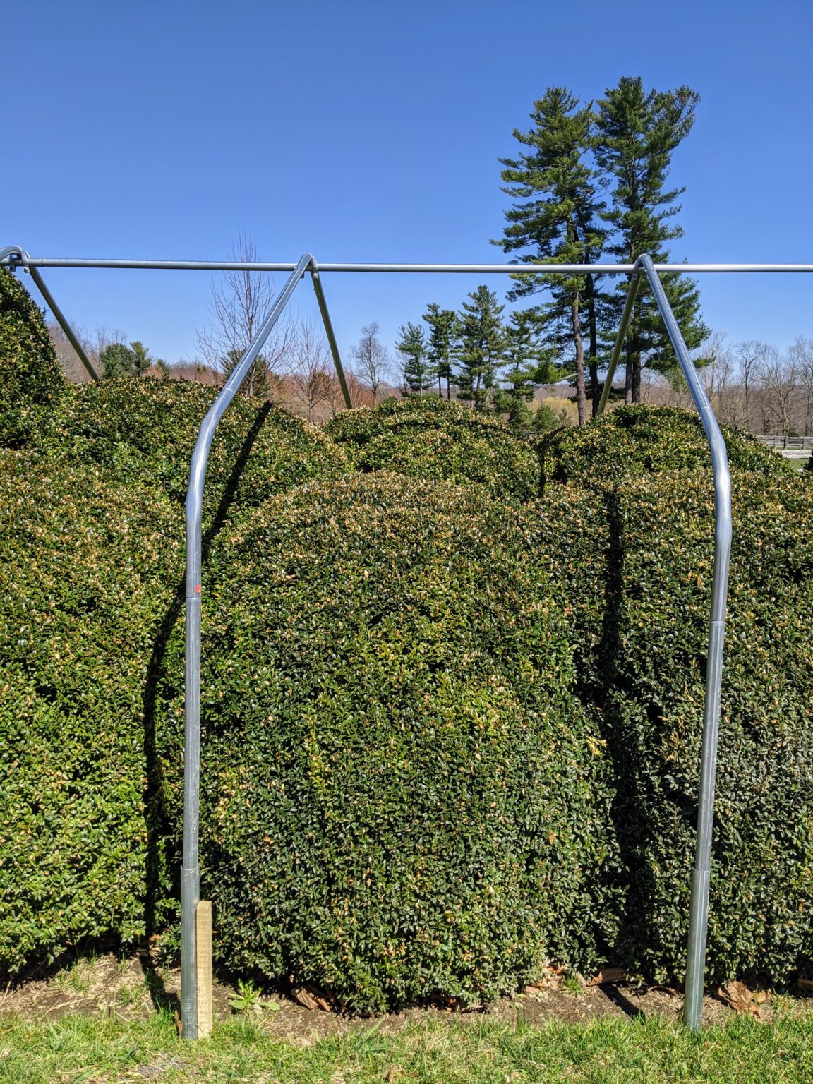 Removing the Burlap Around My Farm The Martha Stewart Blog