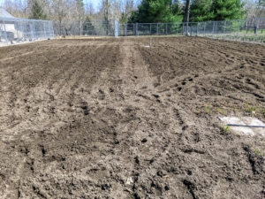 Here is the vegetable garden once all the rototilling is complete. Building up the soil is the most important part of preparing a garden for growing vegetables and flowers. A deep, organically rich soil will encourage and support the growth of healthy root systems.