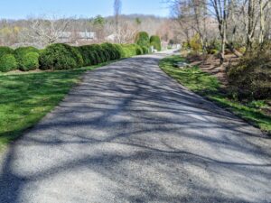 The carriage roads are all about 12-feet wide, which is what it should be after any overgrowth is removed. The roads look great! There's a lot more road to edge - keep up the good work, Pete and Fernando!