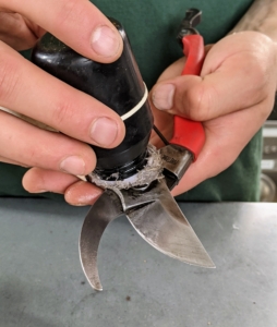 Brian lightly lubricates all the clean, sharpened metal parts with oil. Oil will help the pruners perform more smoothly.