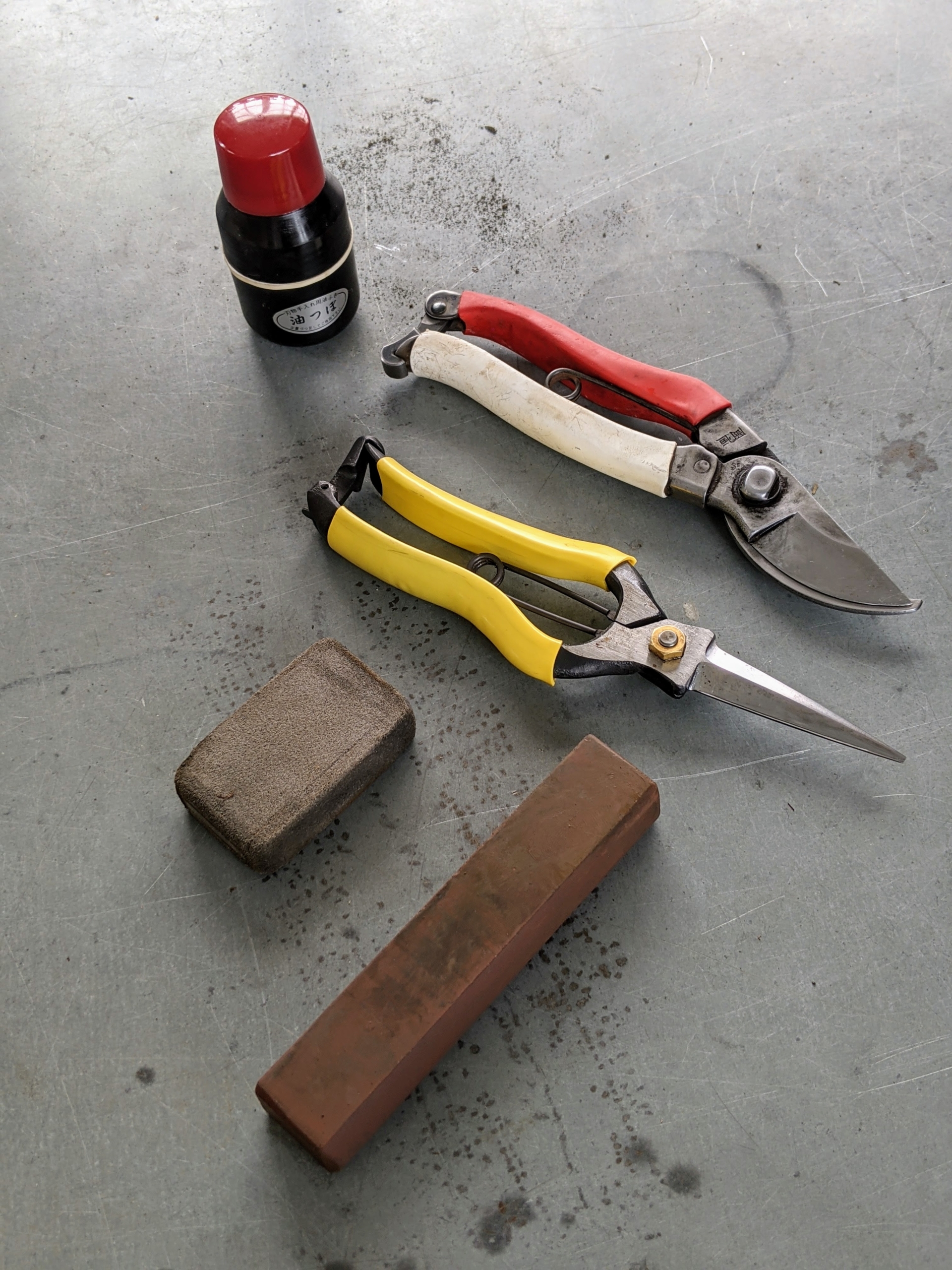 How to Clean and Sharpen Hand Pruners