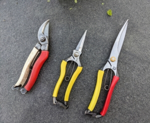 But all of Brian's tools are now ready and safe to use out in the gardens - until next week when these secateurs and snips will need to be checked once again.