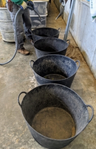 Then, Chhiring fills these large trug buckets with water in the Equipment Barn, where the bare-root cuttings will sit overnight.