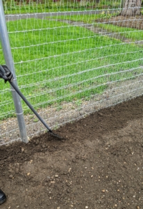 Next, Ryan uses a small garden soft rake to cover the seeds with two inches of soil.