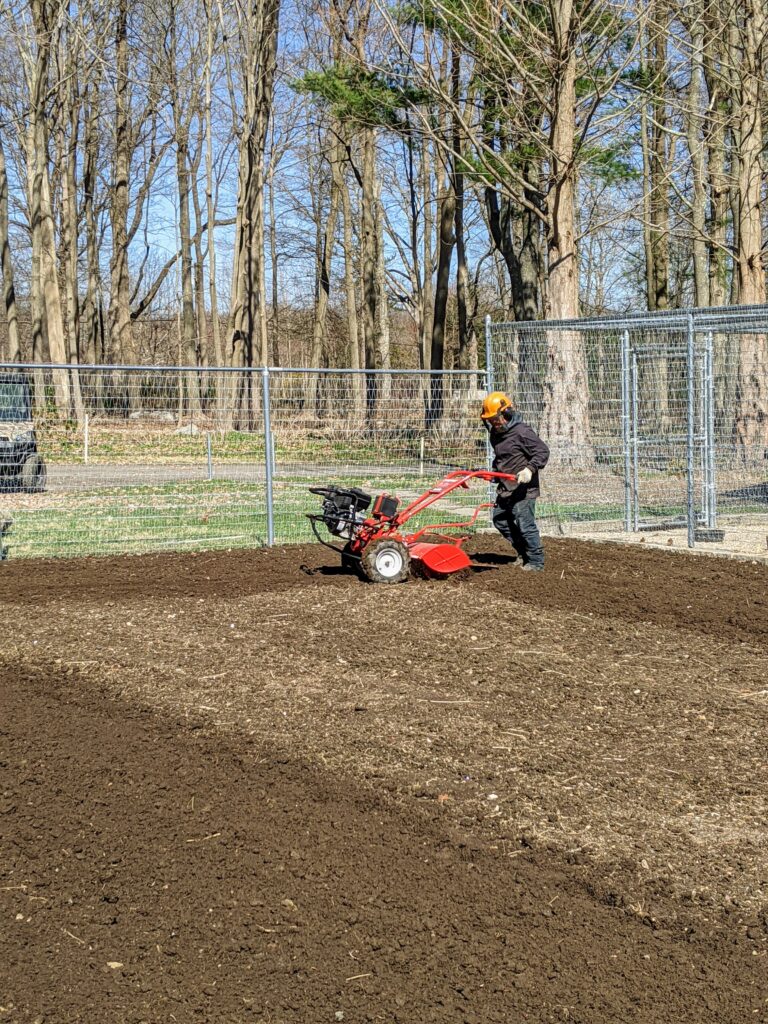 Rototilling the Vegetable Garden for Planting The Martha Stewart Blog