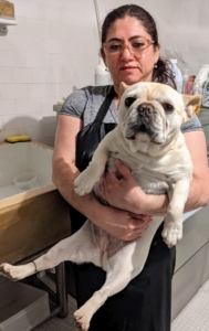 Creme Brulee is first. These Frenchies are just the right size for these large sinks. My Chow Chows are much bigger, especially Han - they get bathed in the tub.