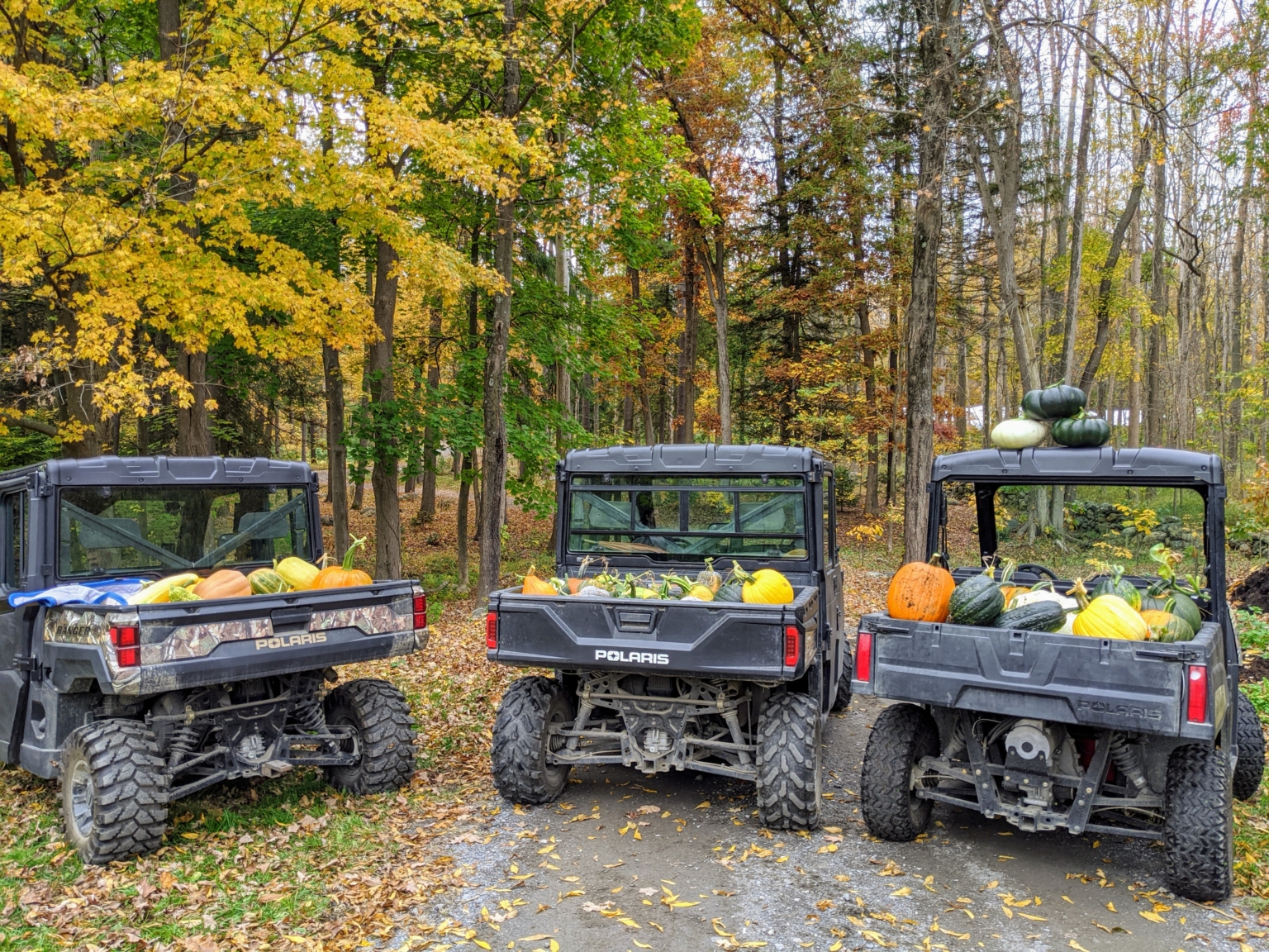 Washing My Polaris Ranger XP 1000 The Martha Stewart Blog
