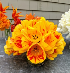 Kevin Sharkey picked some beautiful tulips and made several arrangements to decorate my home. I hope you saw them on my Instagram page @MarthaStewart48.
