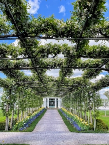 And this is one of Oak Spring's most recognizable features - the arbor of pleached Mary Potter crabapple trees. In mid-April, the trees bloom, filling the arbor with soft white blossoms. When they begin to fall, it is like a snow flurry - I am sure it is breathtaking. The Oak Spring Garden Foundation is not open to the public for general admission, but its facilities are used to host researchers, artists, and writers who come through a Fellowship or Residency program. The OSGF also hosts short courses and workshops relating to plants, gardens, and landscapes. Please go the web site at OSGF.org to learn more.