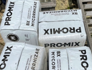 For planting, we use Pro-Mix BX Biofungicide + Mycorrhizae - a general-purpose growing medium that is great for a wide variety of plants and transplanting applications. A good potting mix will include a mix of sterile soil, very well rotted leaf mold, and compost.