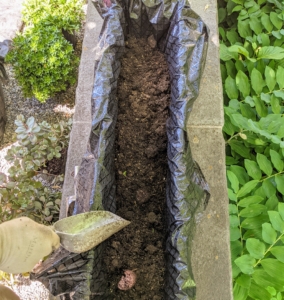 Next, Ryan fills the trough with medium. We always use a good quality potting soil. This one is mixed with a little sand for even better drainage, which succulents require. The right soil mix will help to promote faster root growth, and gives quick anchorage to young roots.